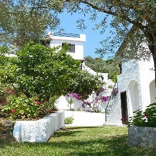 Katerina טרולוס